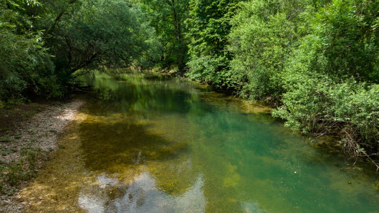 Lire la suite à propos de l’article La Reverotte : un cours d’eau labellisé « Rivière Sauvage »