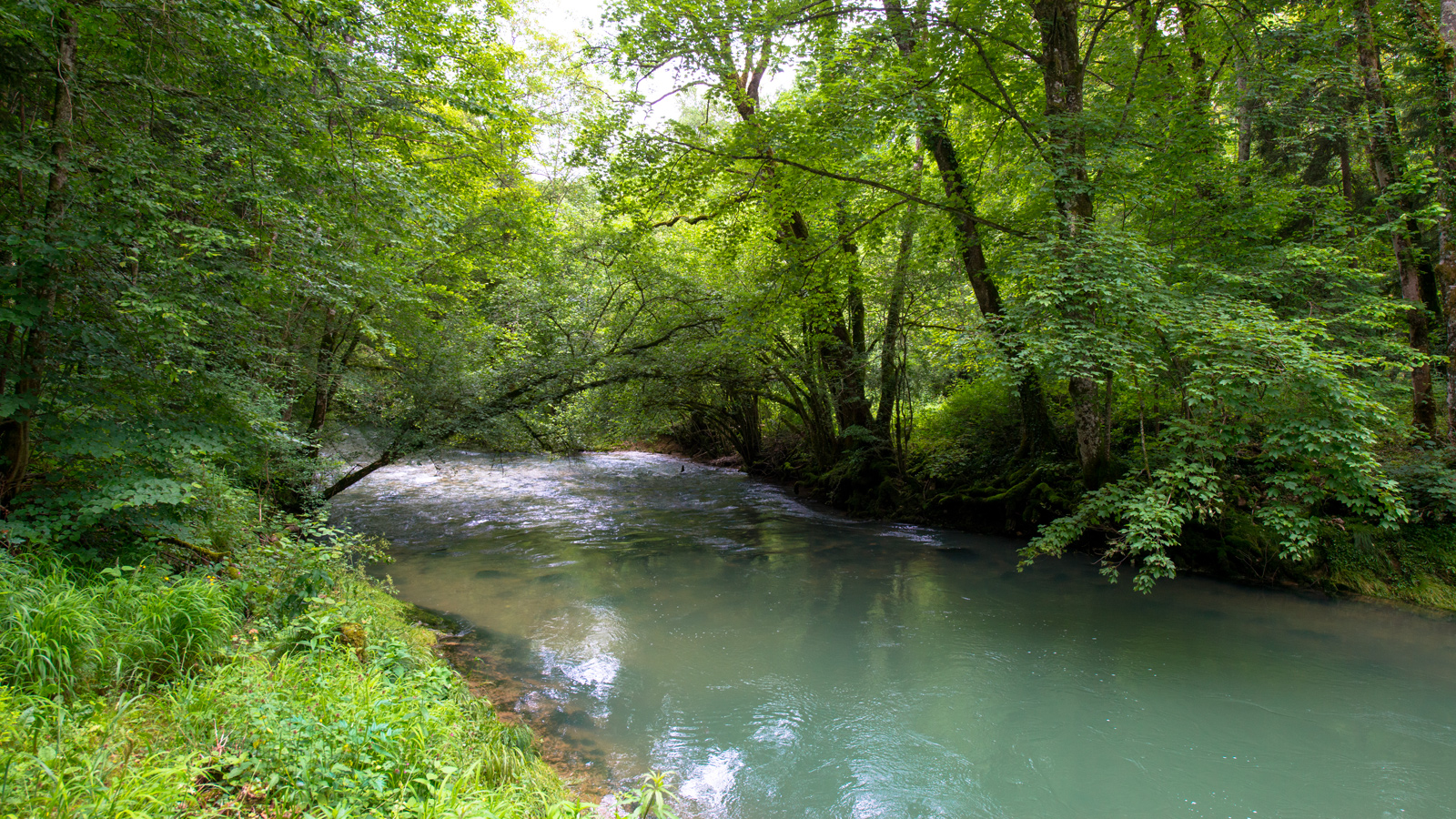 Des travaux de restauration de cours d’eau dans le Doubs