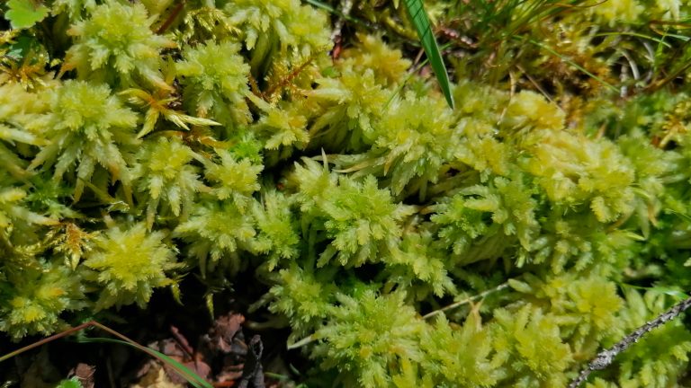 Lire la suite à propos de l’article Natura 2000