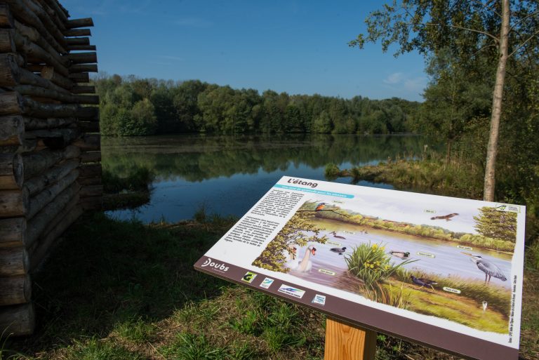 Lire la suite à propos de l’article Education et sensibilisation à l&rsquo;environnement