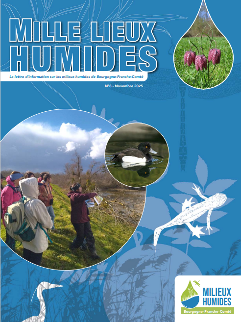 La lettre d’information « Mille lieux humides »  N°8 vient de paraître
