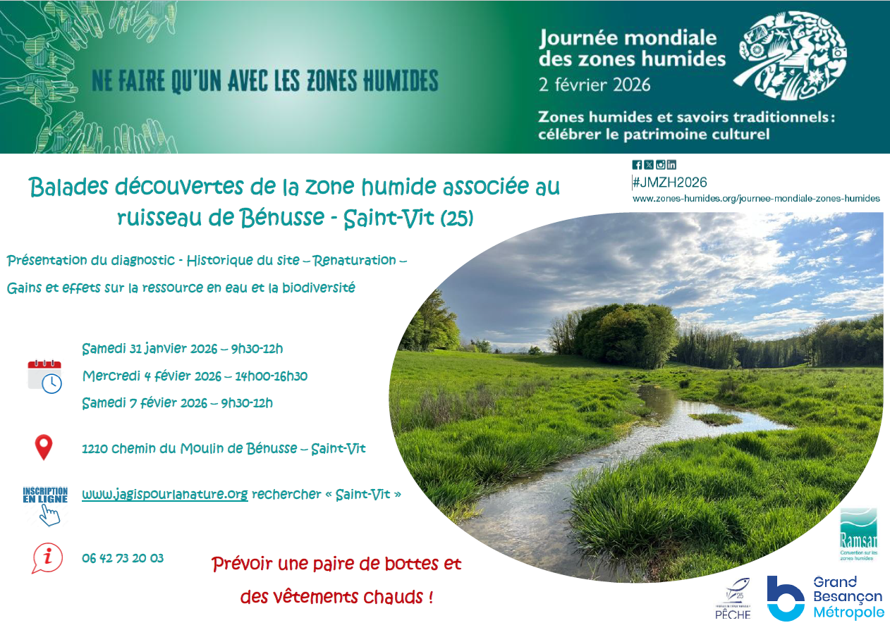 Visite de la zone humide et du ruisseau de Bénusse renaturé à Saint-Vit