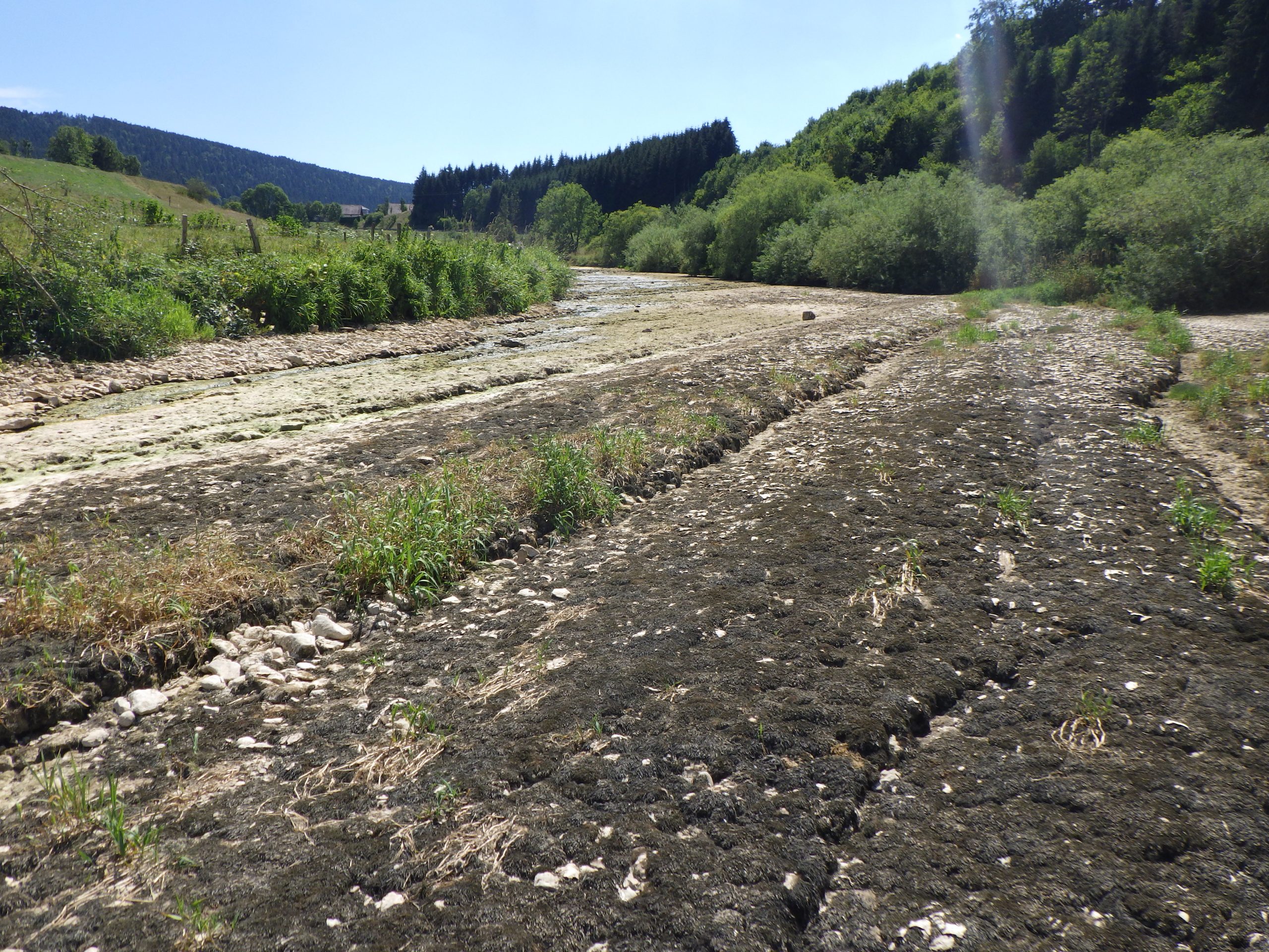 Sécheresse : une majorité du département du Doubs placée en alerte renforcée dès le 26 juin
